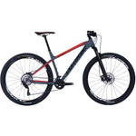 Corratec X-Vert Race 29 Neon Grey/Red