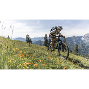 Corratec E-Power X-Vert Expert 29 Gent Black/Blue