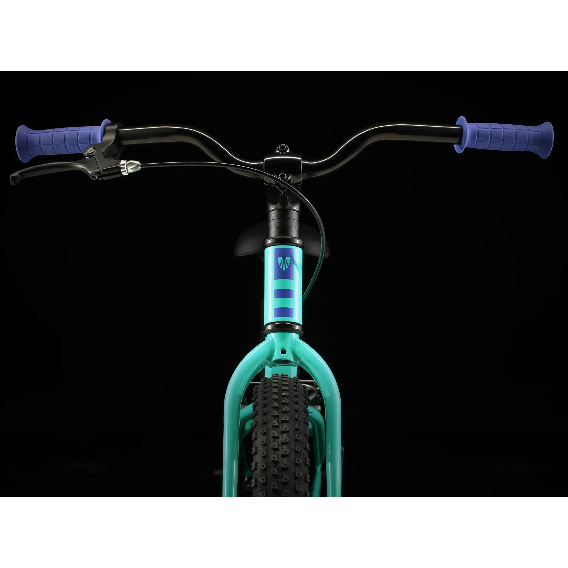 trek bicycle clearwater Trek Precaliber 20 Girl's Single Speed Miami Green – FelixBike